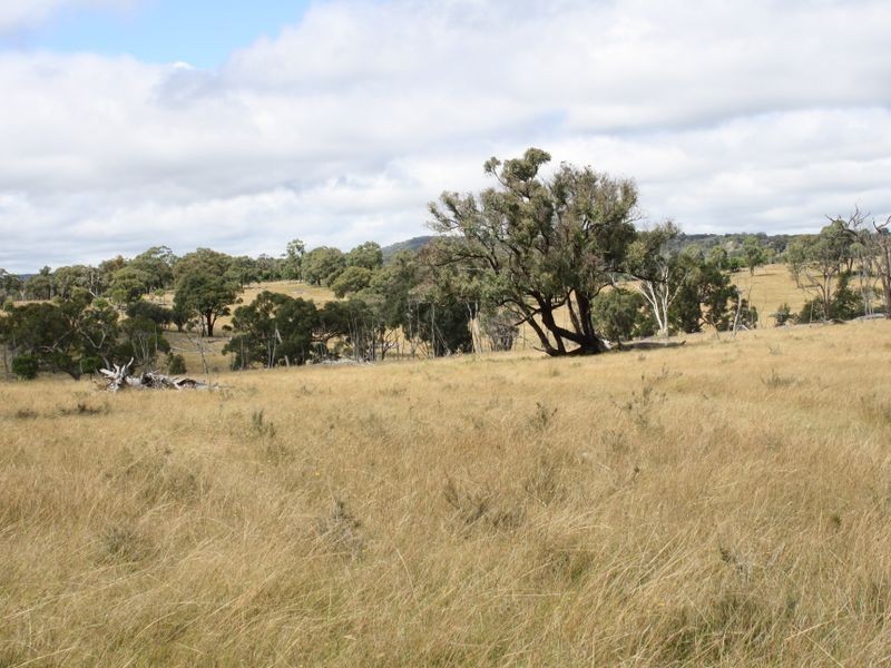 4/753308 Deloraine Road, Emmaville NSW 2371