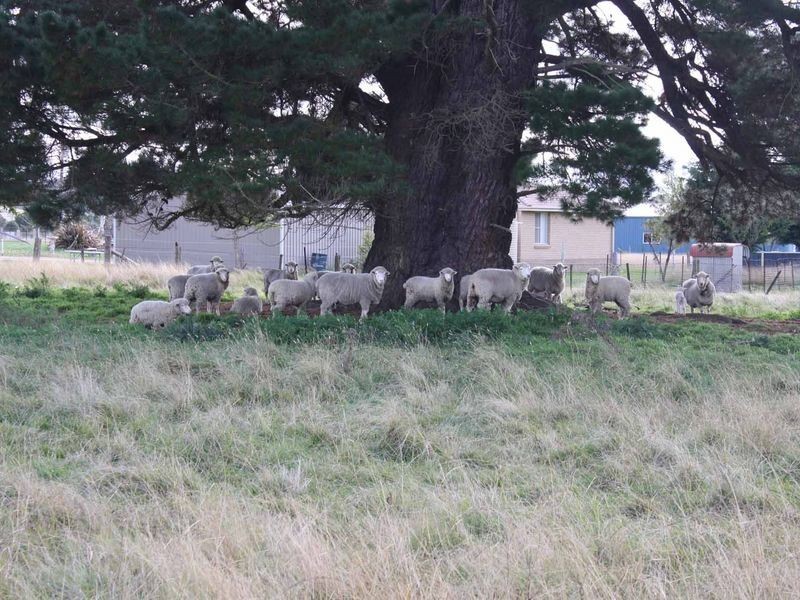 13 Surrey Park, Glen Innes NSW 2370