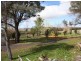 13 Surrey Park, Glen Innes NSW 2370