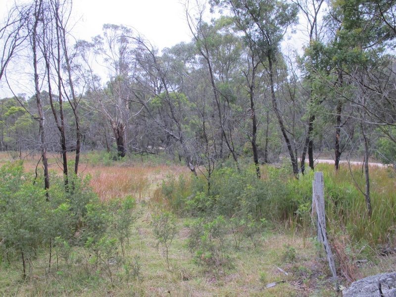 16/753286 Emmaville Road, Torrington NSW 2371