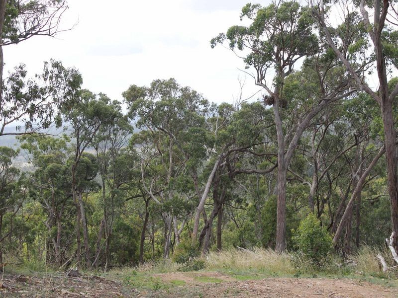 116 SUNSET RD, Glen Innes NSW 2370