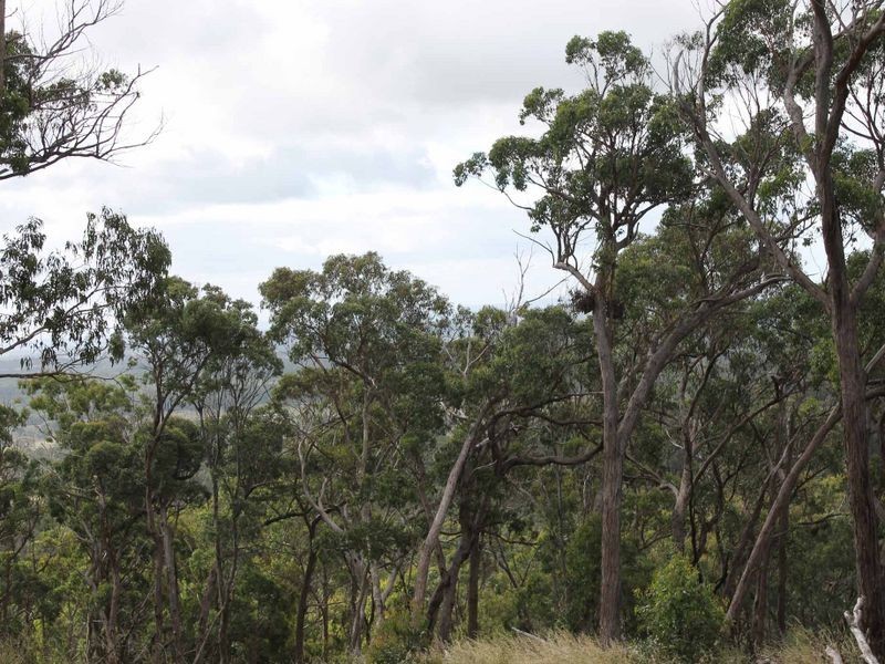 116 SUNSET RD, Glen Innes NSW 2370