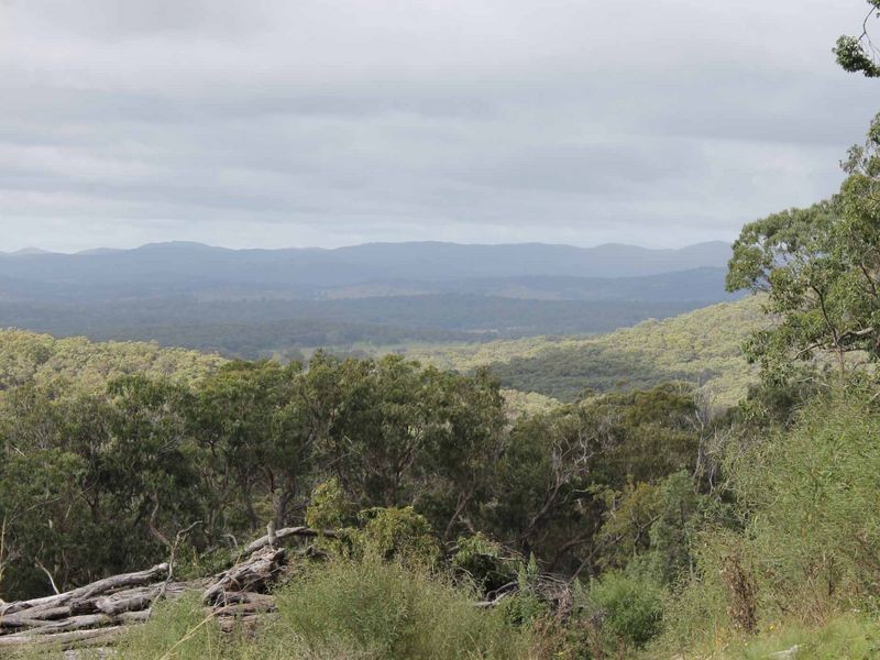 116 SUNSET RD, Glen Innes NSW 2370