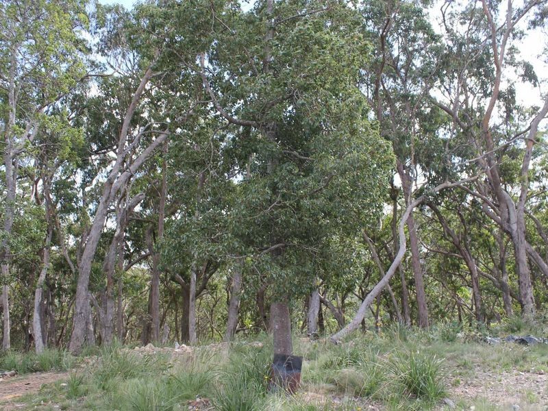 116 SUNSET RD, Glen Innes NSW 2370