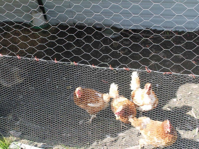 116 SUNSET RD, Glen Innes NSW 2370