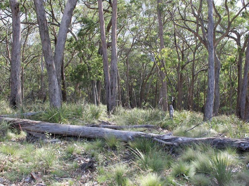 116 SUNSET RD, Glen Innes NSW 2370