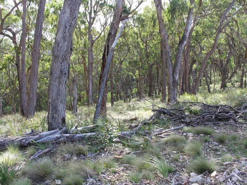 116 SUNSET RD, Glen Innes NSW 2370