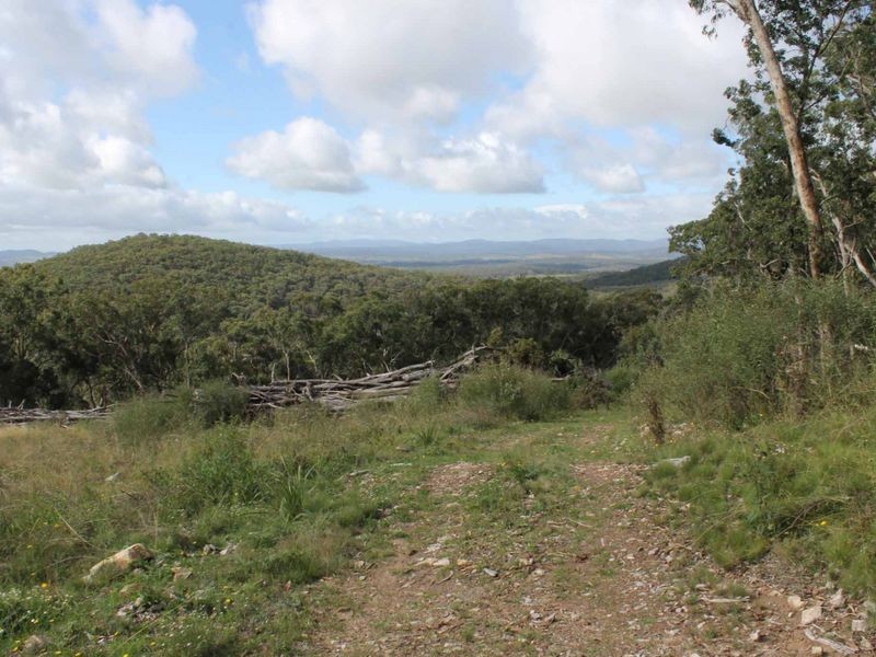 116 SUNSET RD, Glen Innes NSW 2370