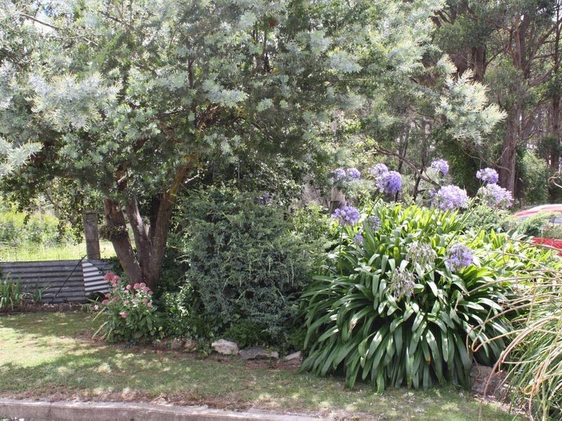 23 Silentgrove Rd, Deepwater NSW 2371