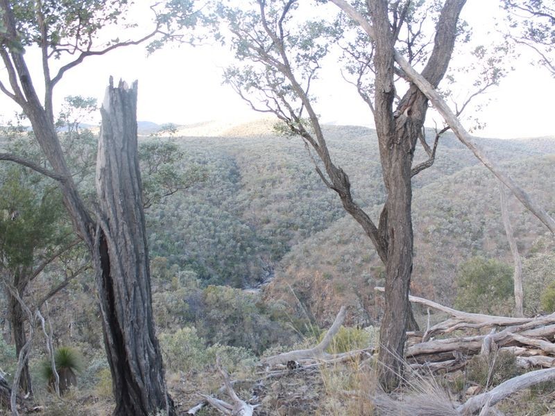 Lot 4 Gulf Rd, Emmaville NSW 2371