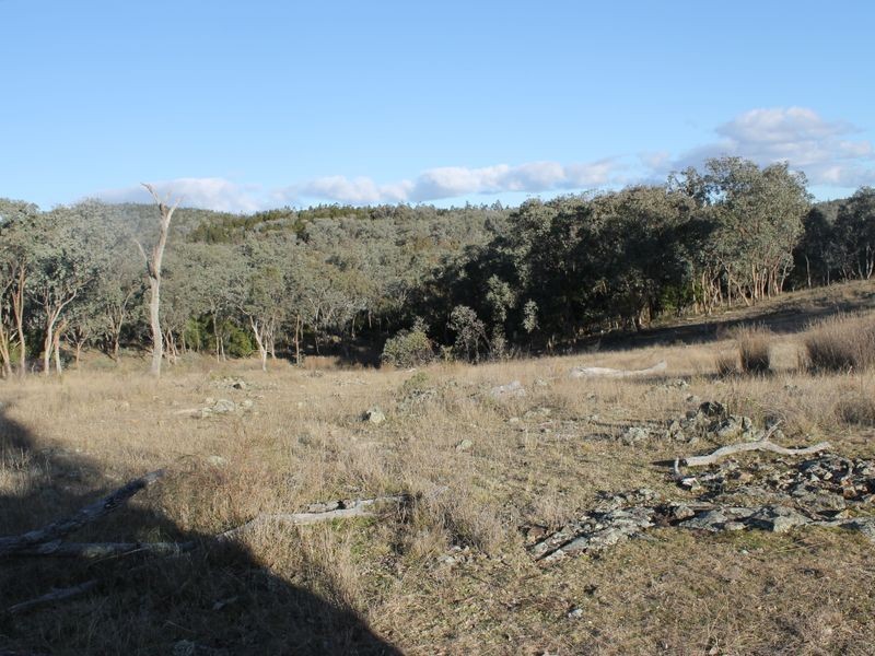 Lot 4 Gulf Rd, Emmaville NSW 2371