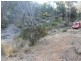 Lot 4 Gulf Rd, Emmaville NSW 2371