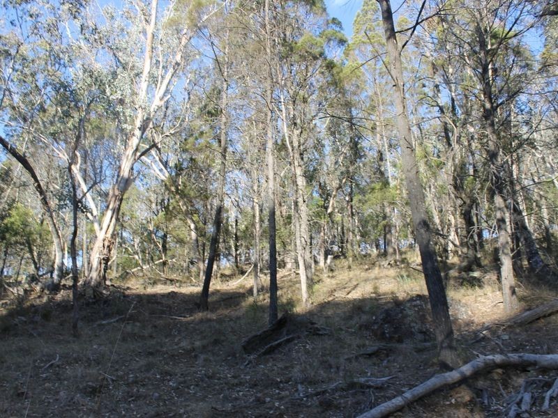 Lot 4 Gulf Rd, Emmaville NSW 2371