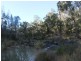 Lot 4 Gulf Rd, Emmaville NSW 2371