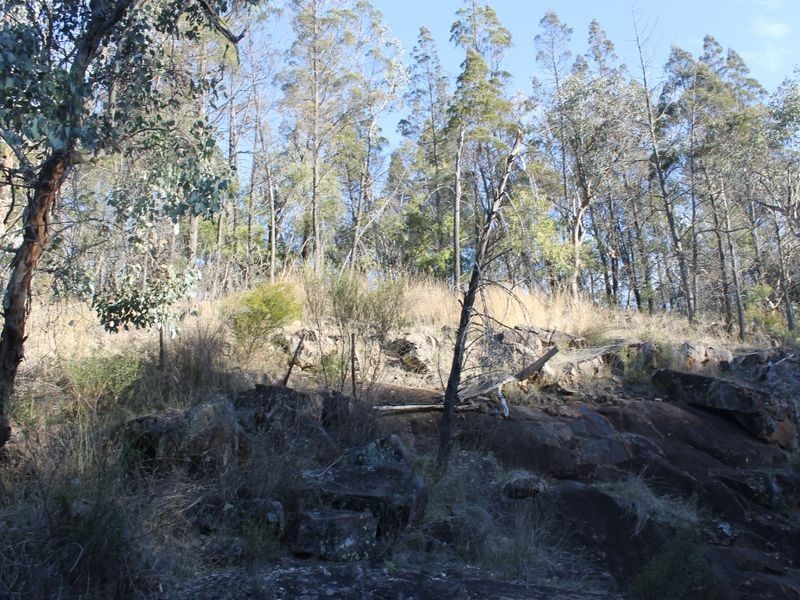 Lot 4 Gulf Rd, Emmaville NSW 2371