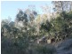 Lot 4 Gulf Rd, Emmaville NSW 2371