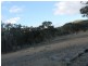 Lot 4 Gulf Rd, Emmaville NSW 2371