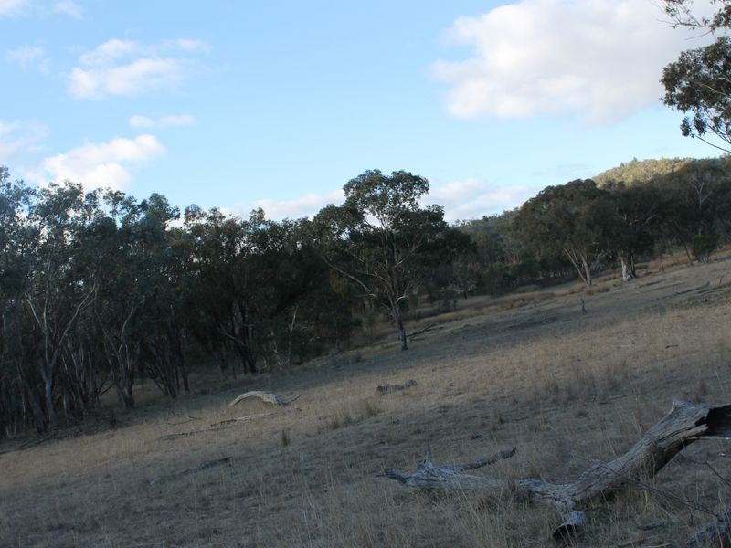 Lot 4 Gulf Rd, Emmaville NSW 2371