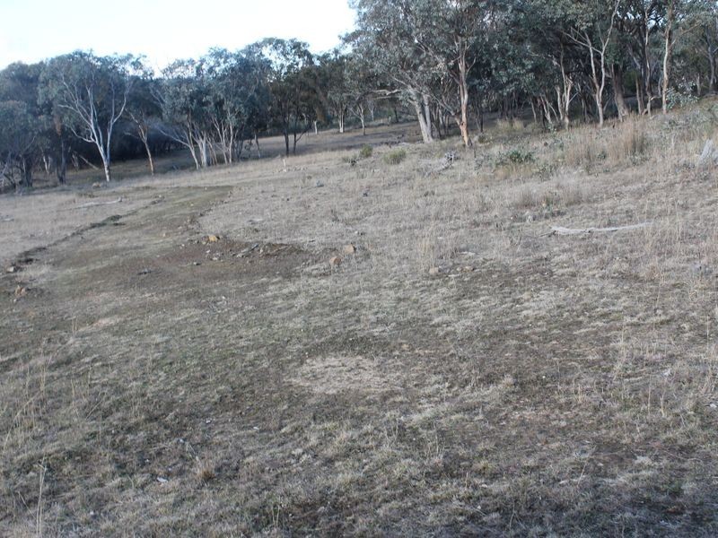 Lot 4 Gulf Rd, Emmaville NSW 2371