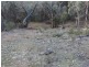Lot 4 Gulf Rd, Emmaville NSW 2371