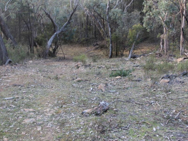 Lot 4 Gulf Rd, Emmaville NSW 2371