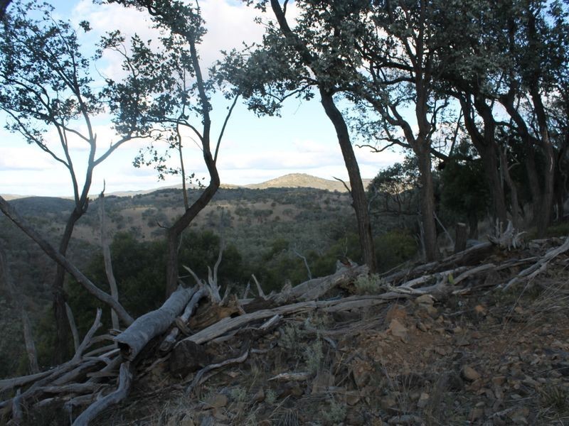 Lot 4 Gulf Rd, Emmaville NSW 2371