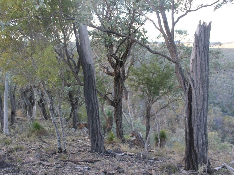 Lot 4 Gulf Rd, Emmaville NSW 2371