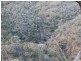 Lot 4 Gulf Rd, Emmaville NSW 2371