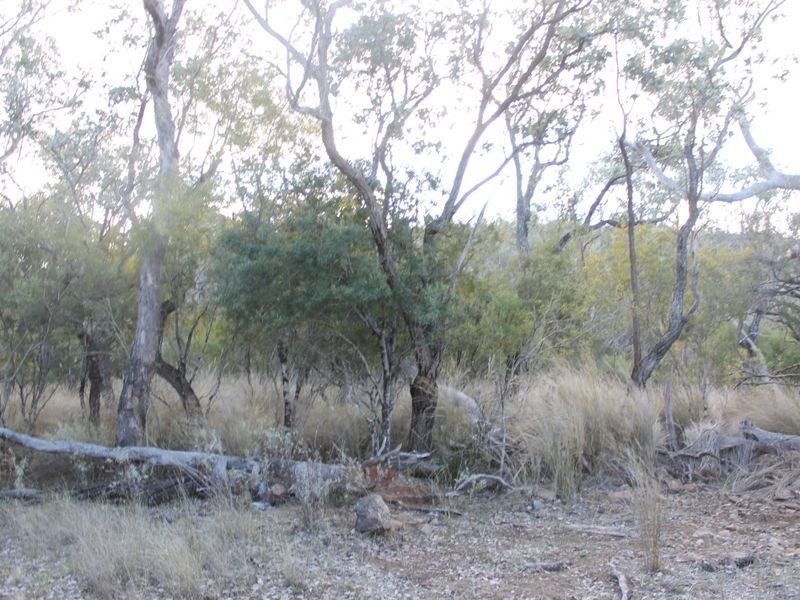 Lot 4 Gulf Rd, Emmaville NSW 2371