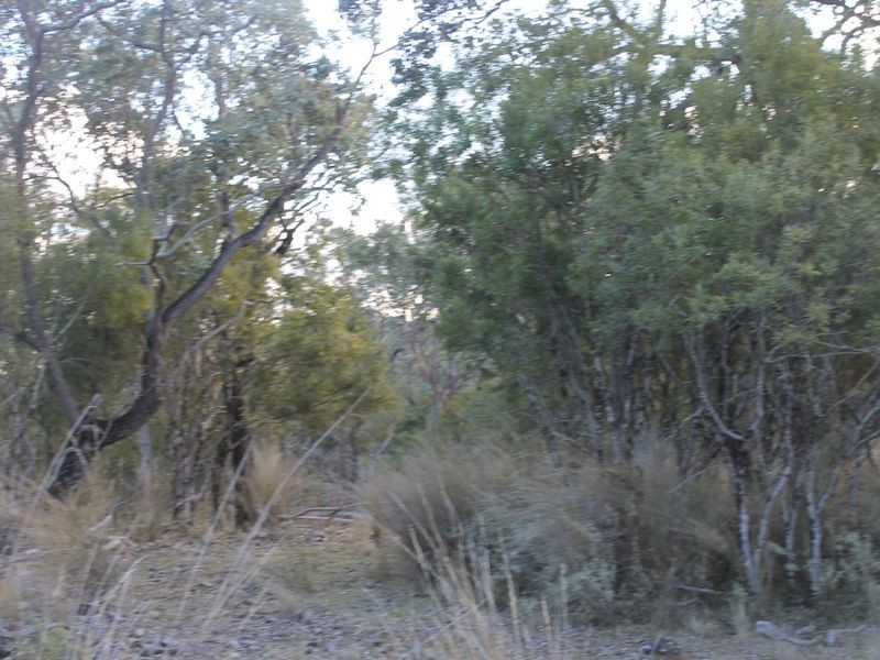 Lot 4 Gulf Rd, Emmaville NSW 2371