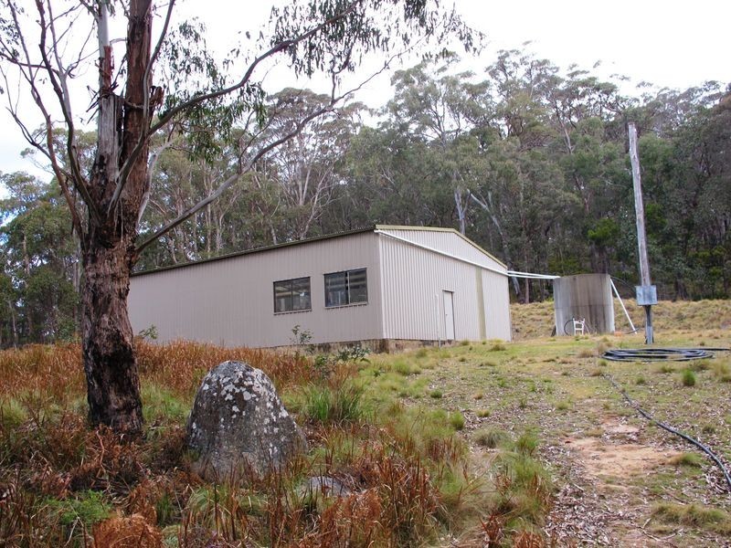123 Warra Forest Road, Mount Mitchell NSW 2365