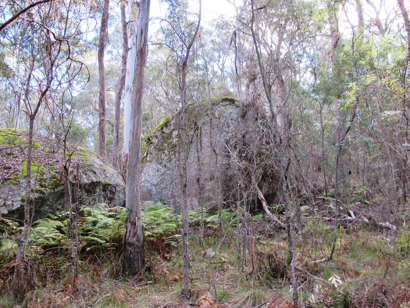 123 Warra Forest Road, Mount Mitchell NSW 2365