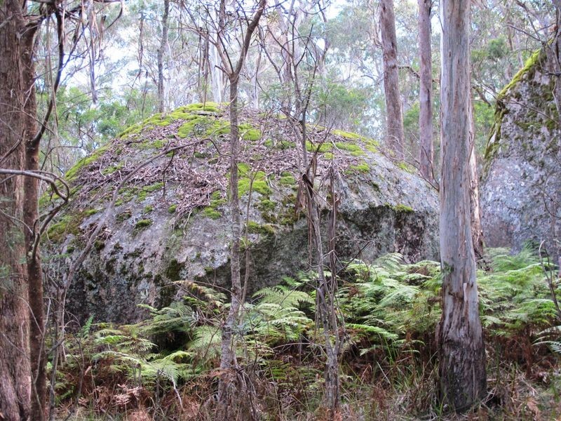 123 Warra Forest Road, Mount Mitchell NSW 2365