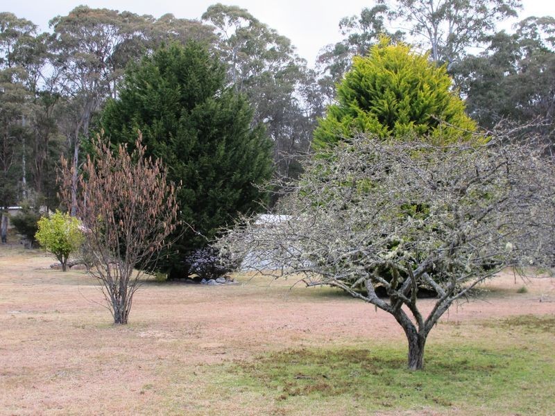 123 Warra Forest Road, Glen Innes NSW 2370