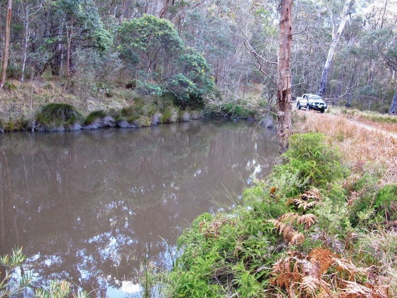 123 Warra Forest Road, Glen Innes NSW 2370