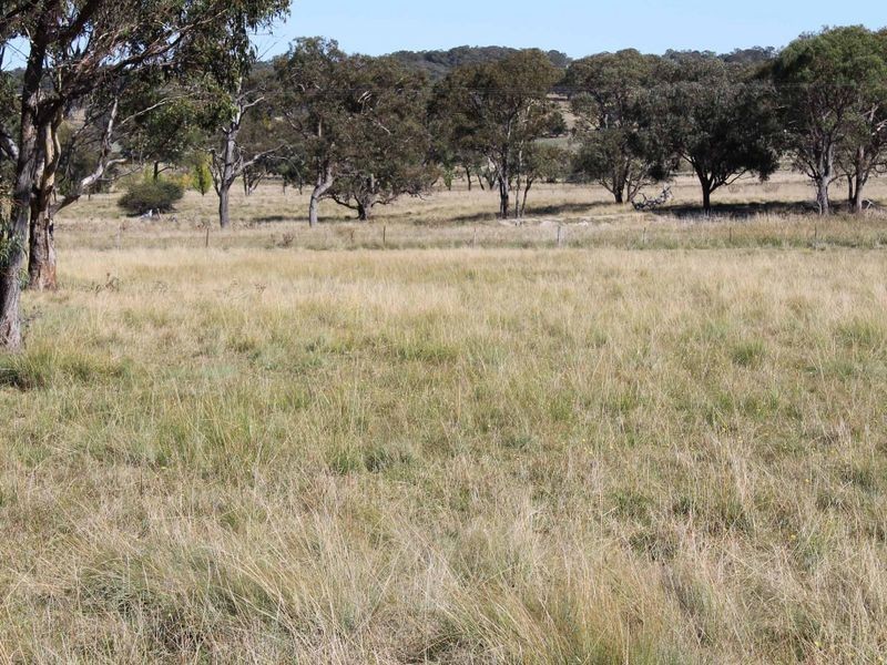 Lot 108 Polhill Rd, Wellingrove NSW 2370