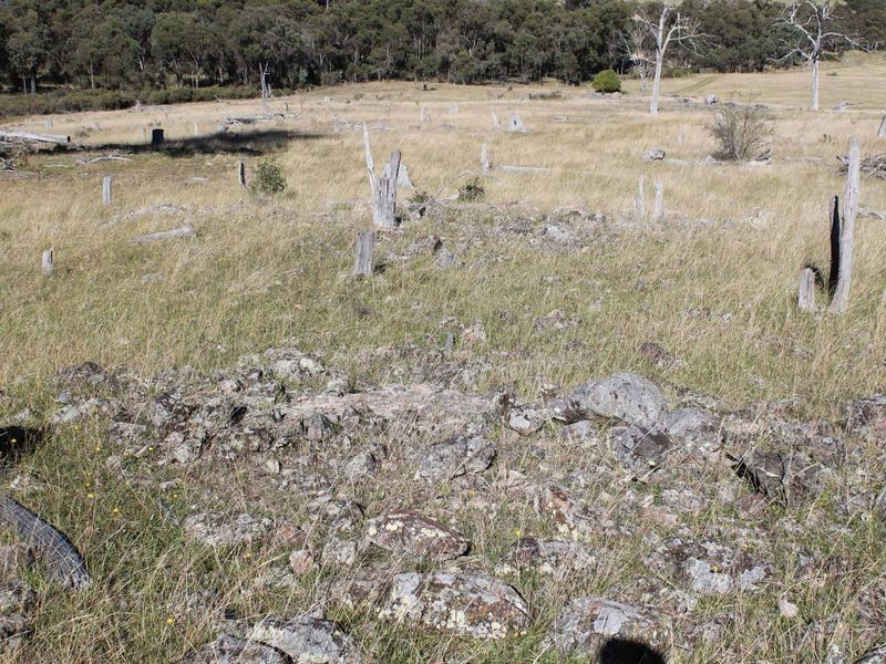 Lot 108 Polhill Rd, Wellingrove NSW 2370