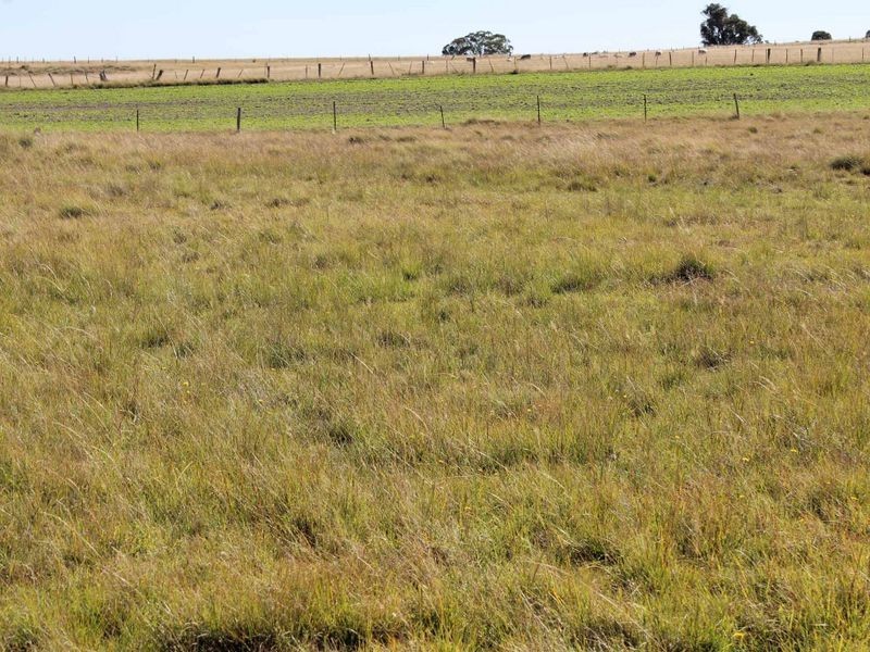 Lot 108 Polhill Rd, Wellingrove NSW 2370