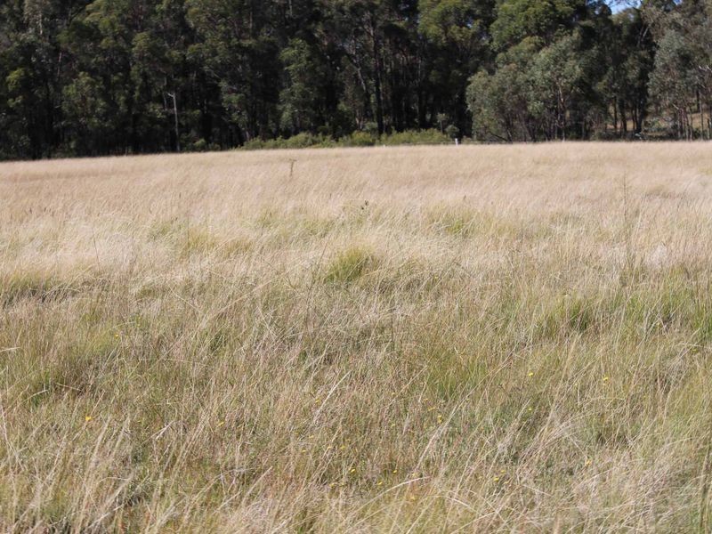 Lot 108 Polhill Rd, Wellingrove NSW 2370