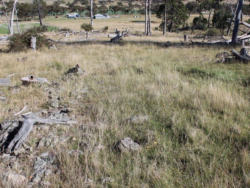 Lot 108 Polhill Rd, Wellingrove NSW 2370