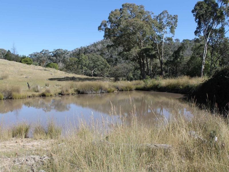 Lot 20 Gulf Rd, Emmaville NSW 2371