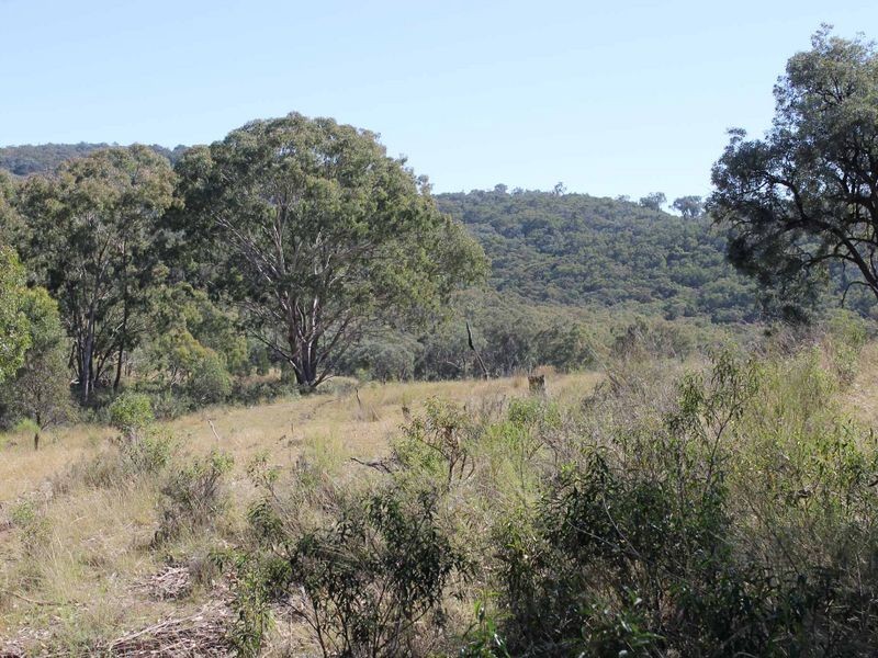 Lot 20 Gulf Rd, Emmaville NSW 2371