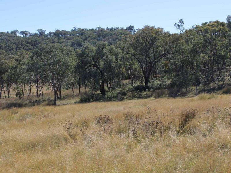 Lot 20 Gulf Rd, Emmaville NSW 2371