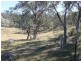 Lot 20 Gulf Rd, Emmaville NSW 2371