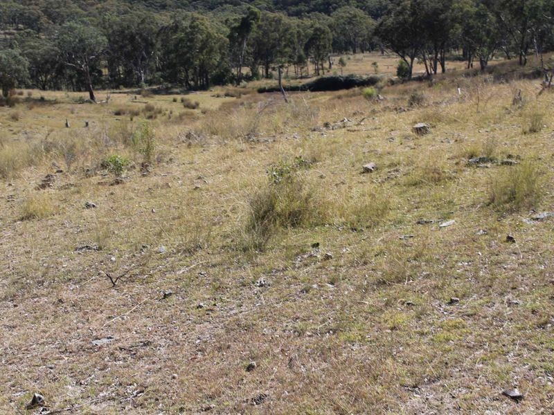 Lot 20 Gulf Rd, Emmaville NSW 2371