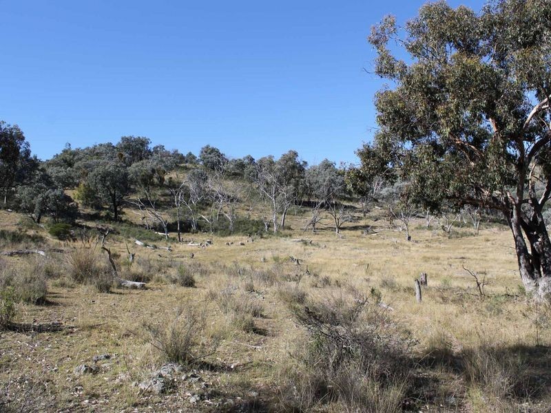Lot 20 Gulf Rd, Emmaville NSW 2371