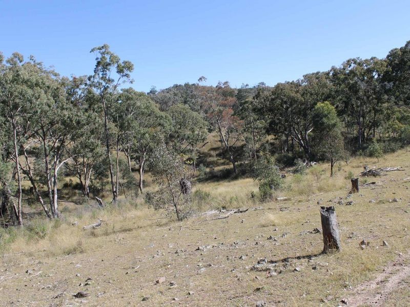 Lot 20 Gulf Rd, Emmaville NSW 2371