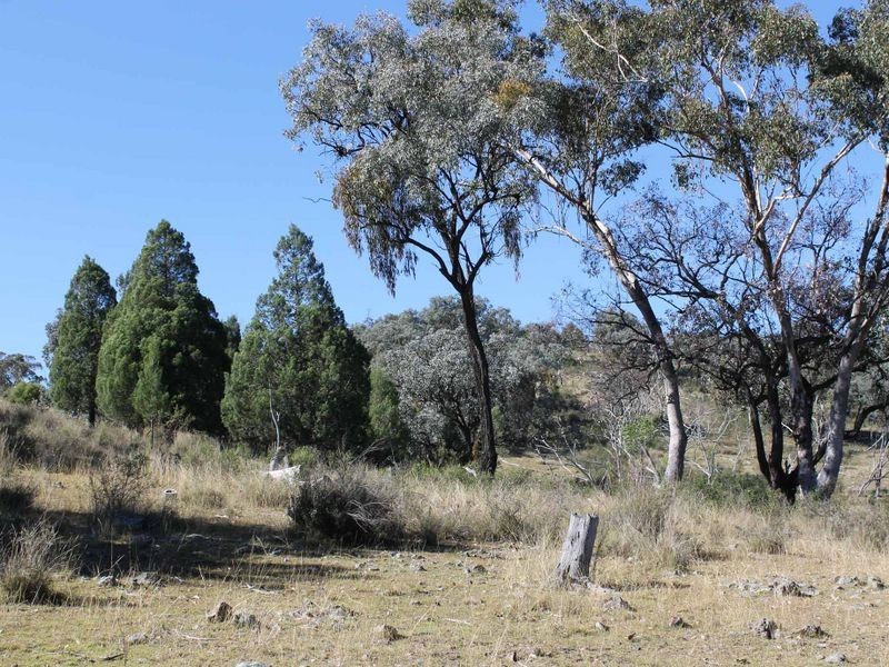 Lot 20 Gulf Rd, Emmaville NSW 2371