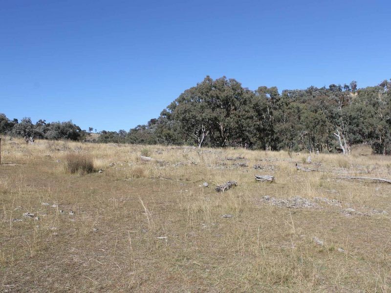 Lot 20 Gulf Rd, Emmaville NSW 2371