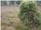 37 Sara River Rd, Glen Innes NSW 2370